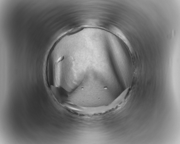 X0000088741146200706212052