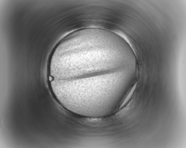 X0000088741147200706212052