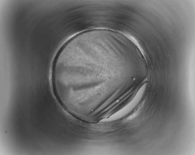 X0000088741149200706212052