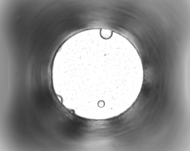 X0000088741150200706212052