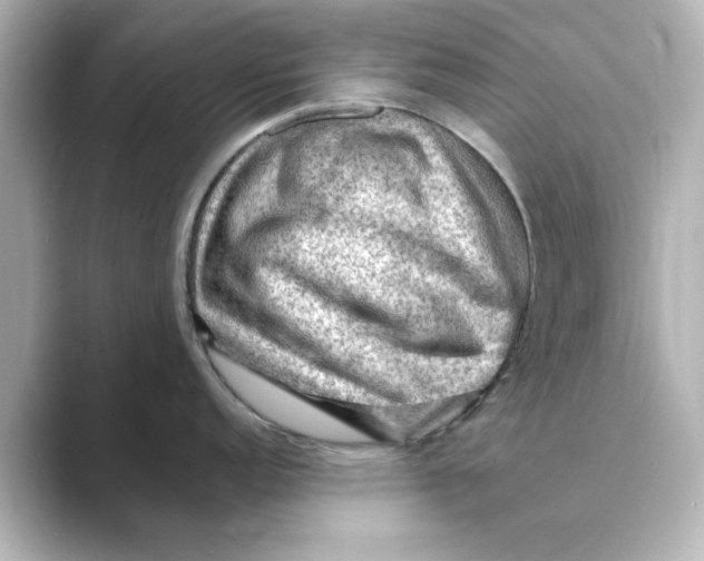 X0000088741152200706212052