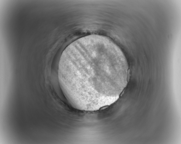 X0000088741153200706212052