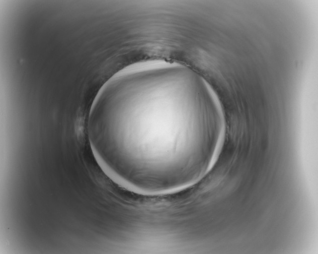 X0000088741154200706212052