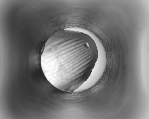 X0000088741156200706212052