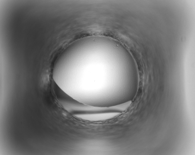 X0000088741157200706212052