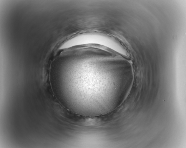 X0000088741160200706212051