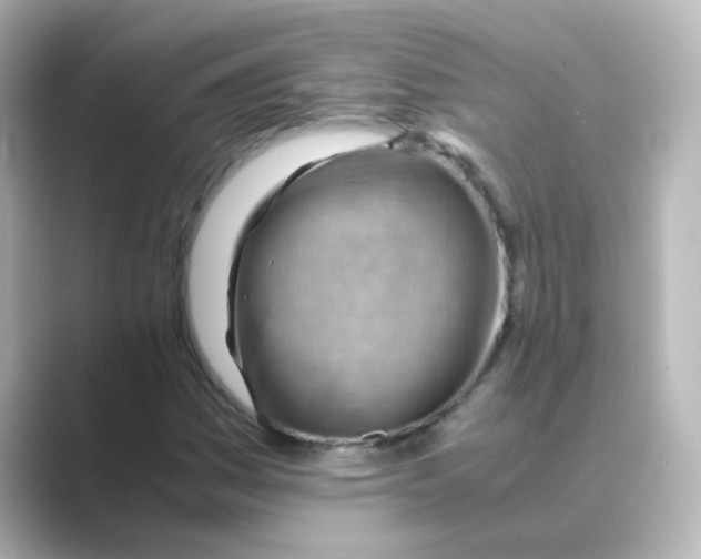 X0000088741161200706212051