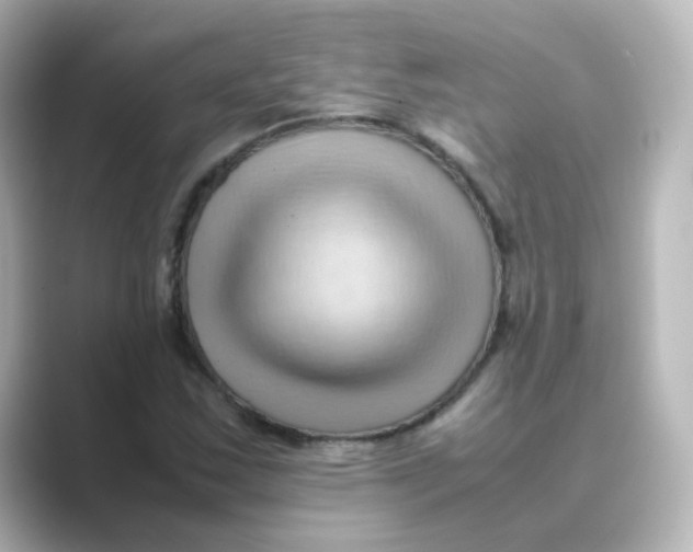 X0000088741163200706212051