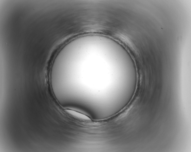 X0000088741164200706212051