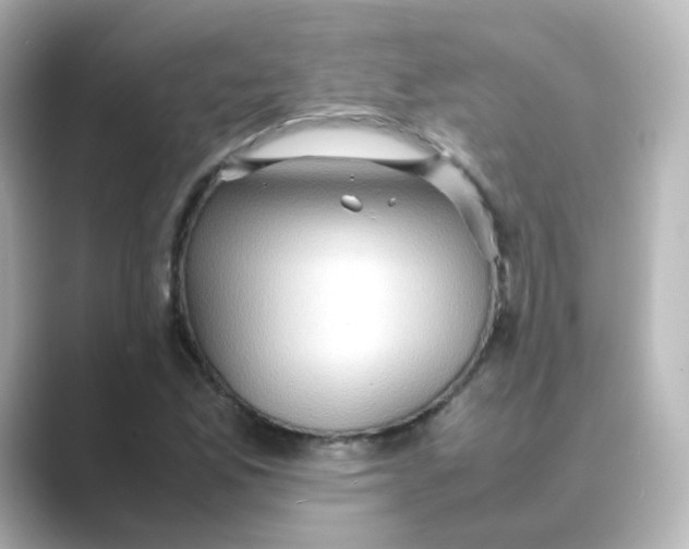 X0000088741165200706212051