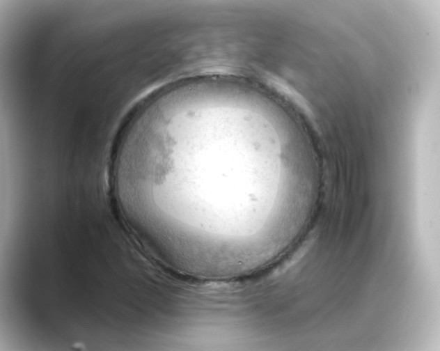 X0000088741166200706212051