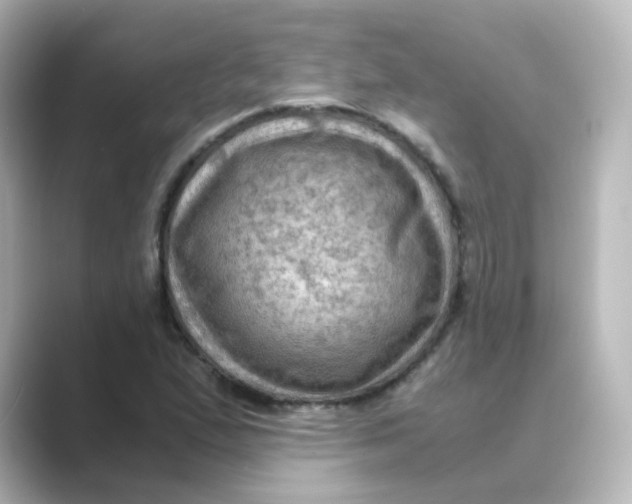 X0000088741167200706212051