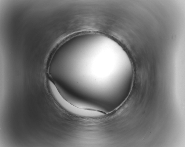 X0000088741168200706212051