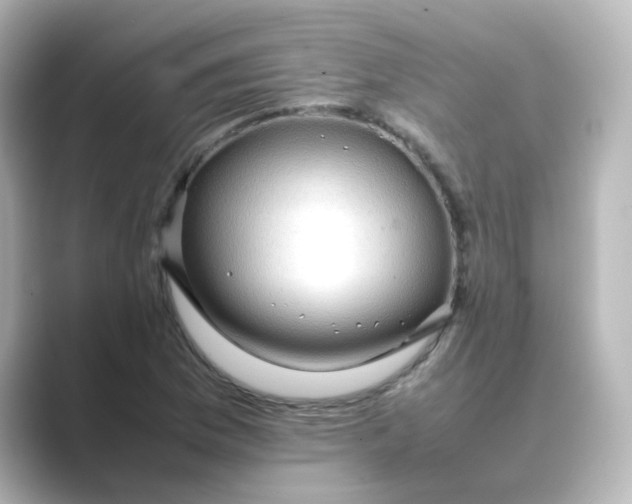 X0000088741169200706212051