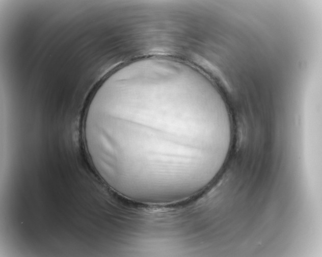 X0000088741170200706212051