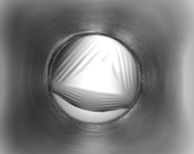 X0000088741172200706212051