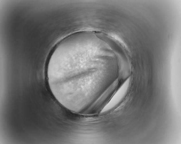 X0000088741173200706212051
