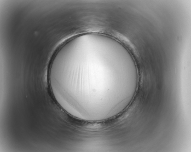 X0000088741174200706212051