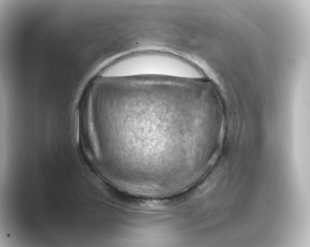 X0000088741175200706212051