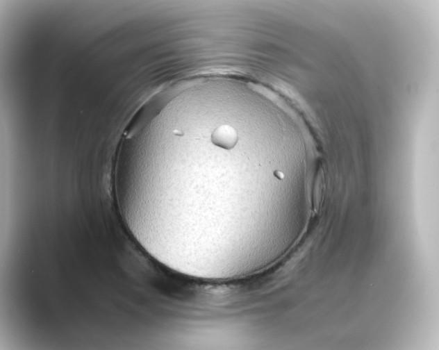 X0000088741177200706212051