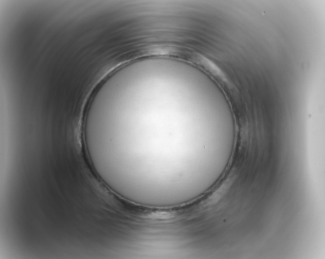 X0000088741178200706212051
