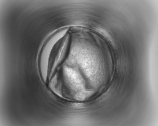 X0000088741180200706212051
