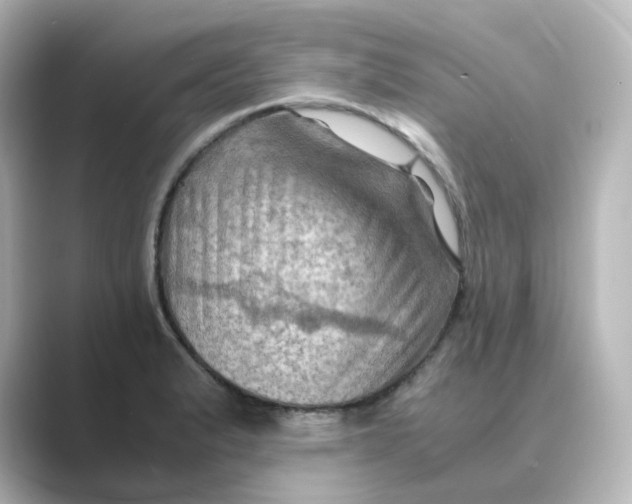 X0000088741183200706212051