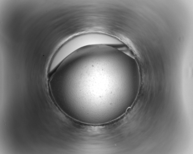 X0000088741184200706212051