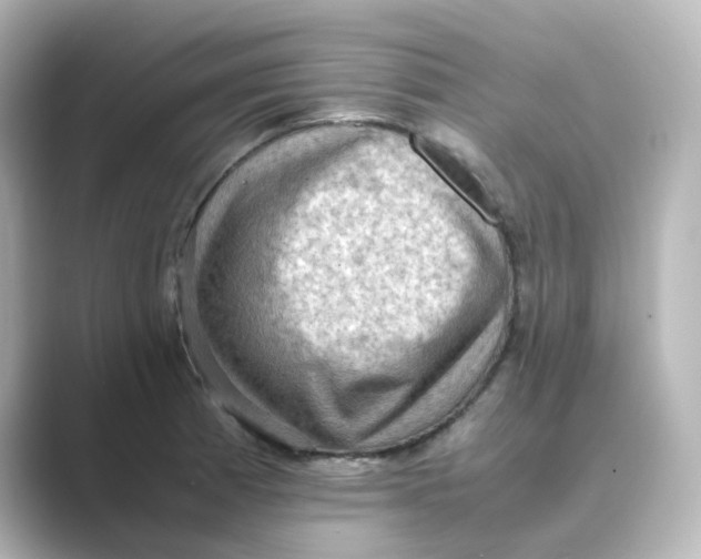 X0000088741185200706212051