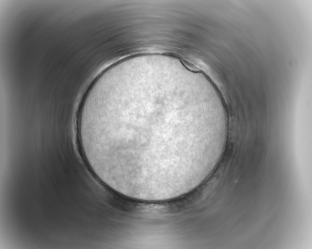 X0000088741187200706212051