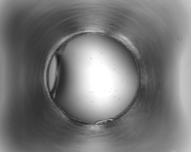 X0000088741188200706212051