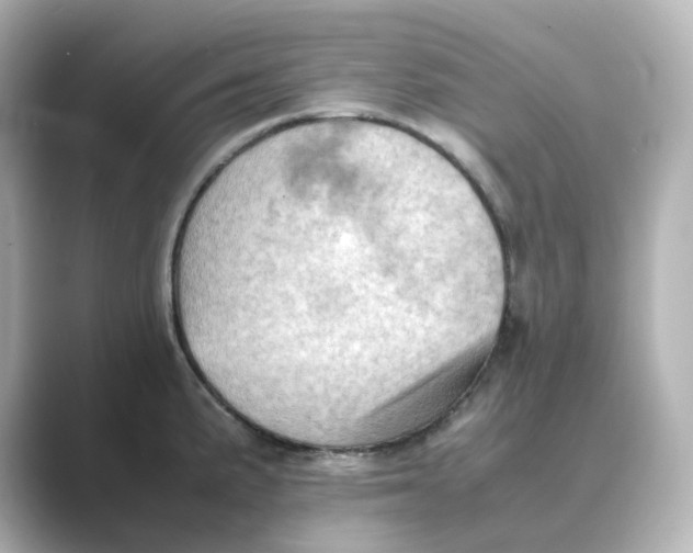 X0000088741191200706212051