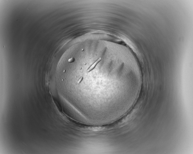 X0000088741193200706212051