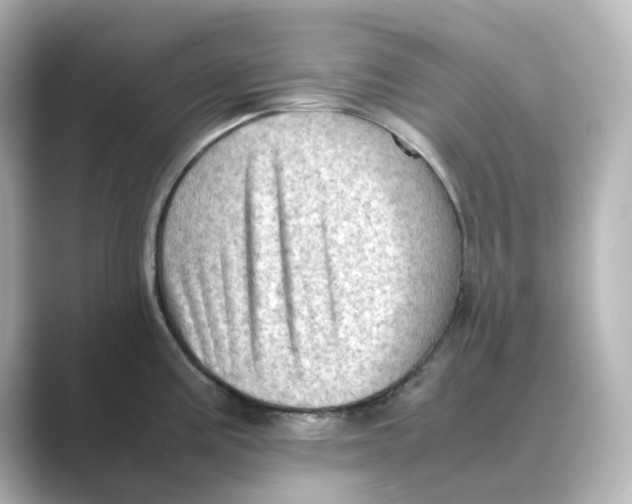 X0000088741195200706212051