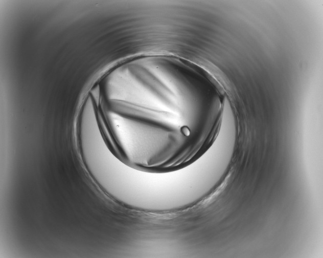 X0000088741196200706212051