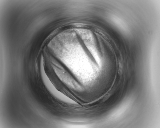 X0000088741198200706212051