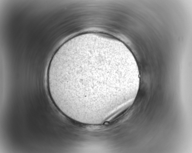 X0000088741199200706212051