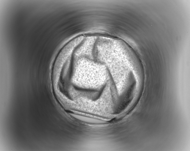 X0000088741200200706212051