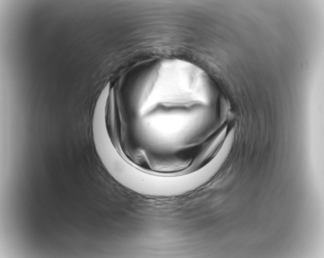 X0000088741202200706212050