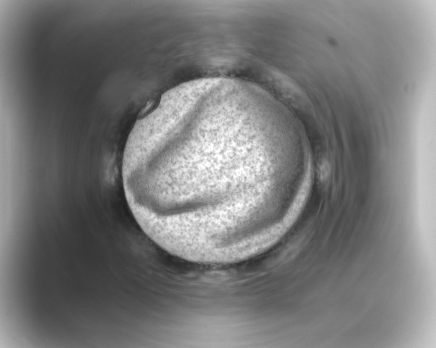 X0000088741204200706212051