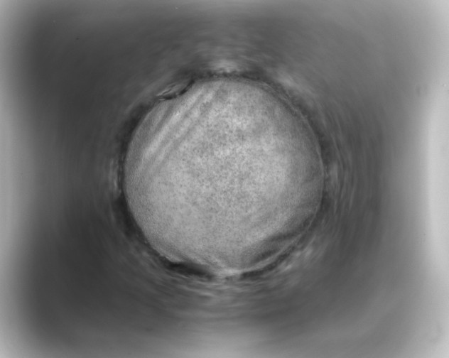 X0000088741205200706212051