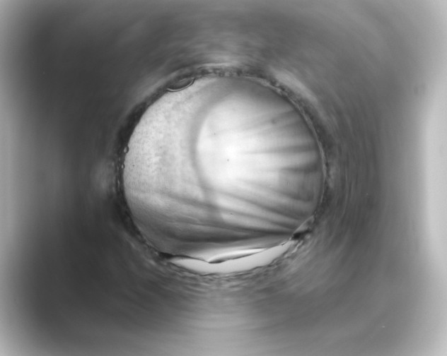 X0000088741208200706212051
