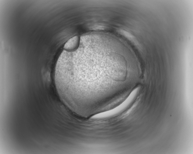 X0000088741209200706212051