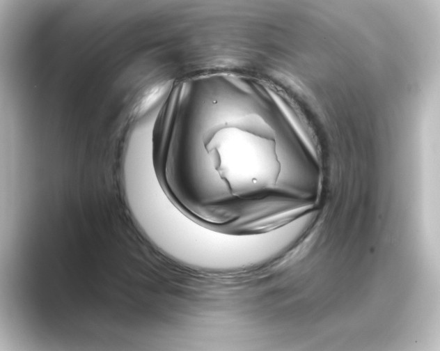 X0000088741210200706212051