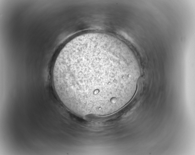 X0000088741215200706212051