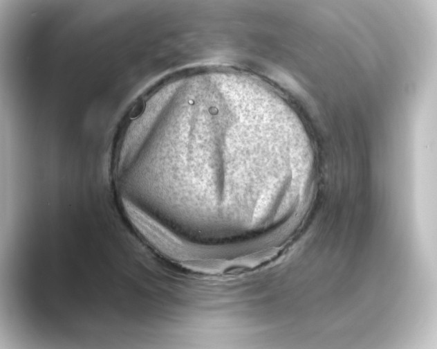 X0000088741216200706212051