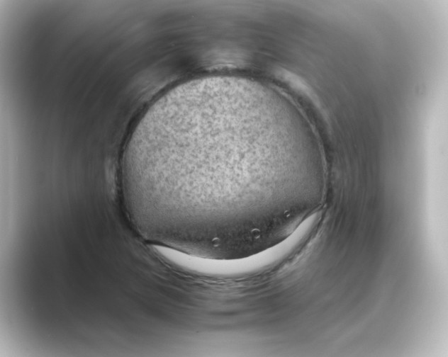 X0000088741217200706212051