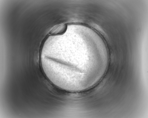 X0000088741220200706212051