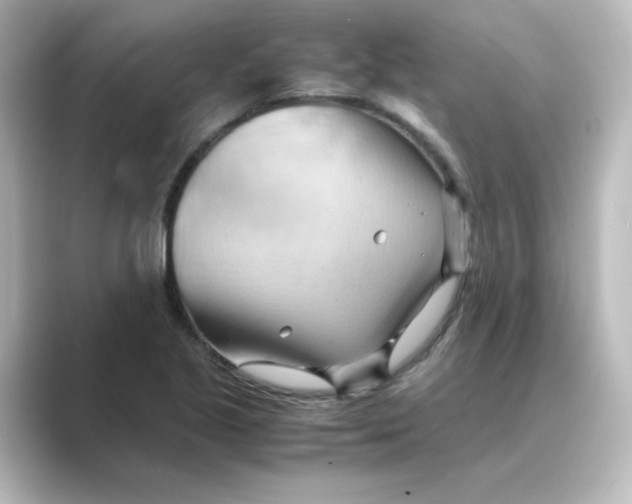 X0000088741221200706212051