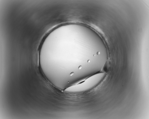 X0000088741223200706212051